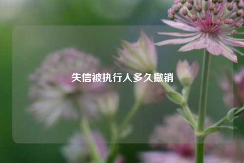 失信被执行人多久撤销